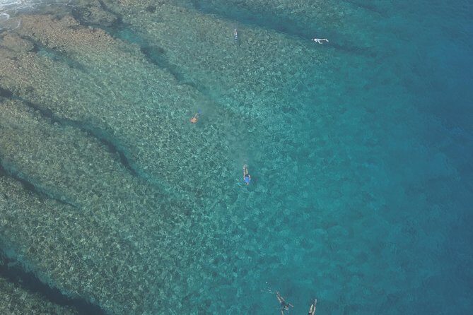 Tohora Bora Bora Snorkeling Lagoon Tours - When whale season adds open-ocean time