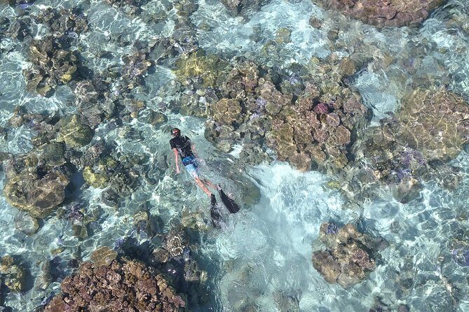 Tohora Bora Bora Snorkeling Lagoon Tours - How long it can run and what to plan around