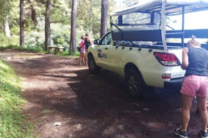 TOUR Safari 4X4 - Who this Safari 4X4 is best for (and who may want to adjust expectations)
