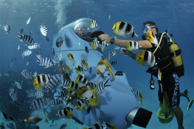 Underwater Scooter - The post-ride comfort: towels, soft drinks, fruit, and keepsake photos