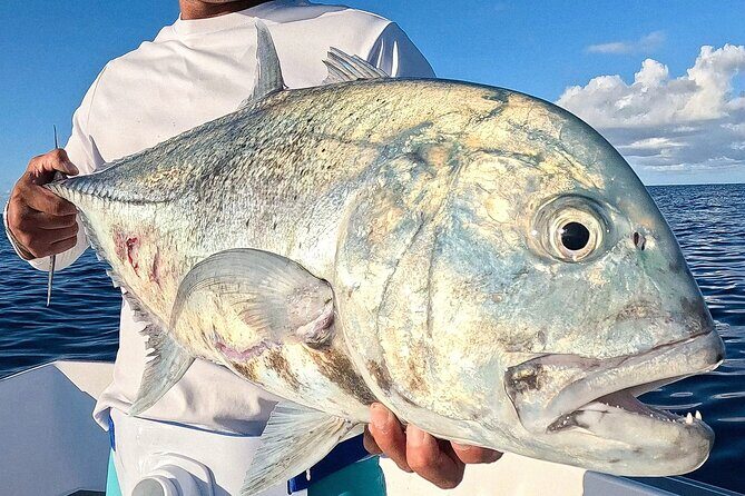 Unique in Raiatea: discover the lagoon, fish, cook, enjoy! - Raiatea fishing safari: what you’re really trying to catch
