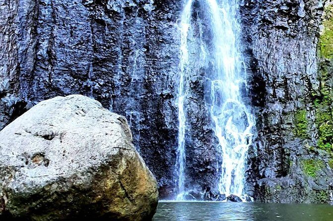 Unique Tahiti Tour - personalised, small group east coast tour - Key Things You’ll Notice on This East Coast Tour