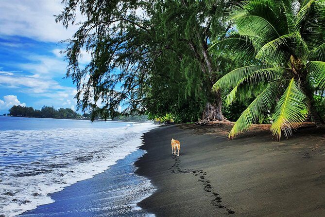 Unique Tahiti Tour - personalised, small group east coast tour - The Coast Hits Back: Blowholes, Waterfalls, and Moorea Views