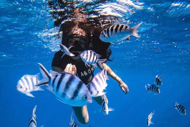 Want to escape? Treat yourself to a snorkeling session in Tahiti! - Key Highlights You’ll Care About