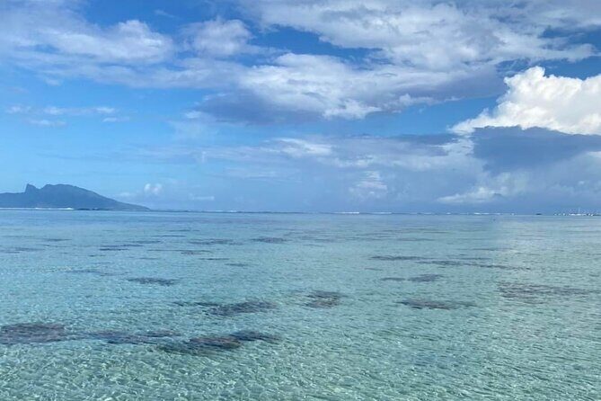 Want to escape? Treat yourself to a snorkeling session in Tahiti! - First Impressions: A 4-Hour Snorkel That Doesn’t Waste Time