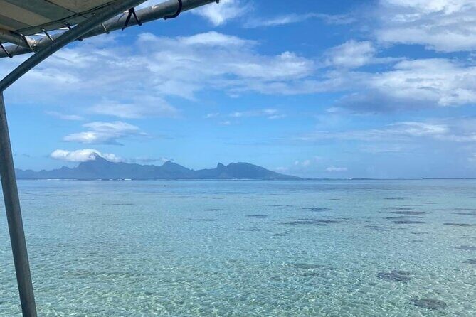 Want to escape? Treat yourself to a snorkeling session in Tahiti! - Wreck Snorkel Near Tahiti Faa’a Airport: Underwater Variety