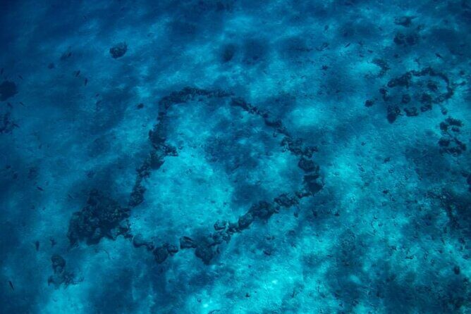 Want to escape? Treat yourself to a snorkeling session in Tahiti! - Price Check: Does $120 Make Sense for This Mix?