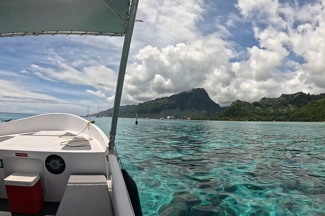 Watch and Swim with Humpback Whales in Moorea - Swimming Alongside Humpbacks: Respect Protocols You Can Feel