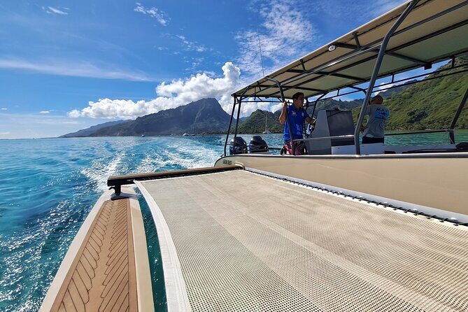 Watch and Swim with Humpback Whales in Moorea - Weather, Timing, and When You’ll Thank the Crew