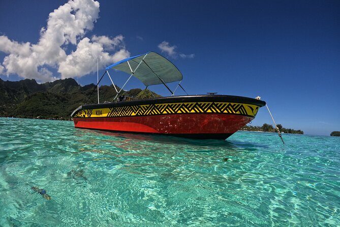 Watch and Swim with Humpback Whales in Moorea - Who This Tour Suits Best (And Who Should Be Cautious)