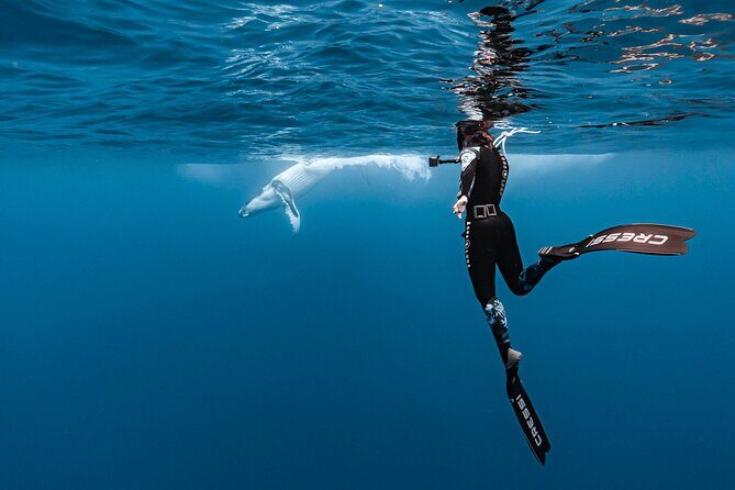 Whale watching and snorkelling in Moorea - Snorkelling Launches in Open Ocean: What You’ll Need to Do