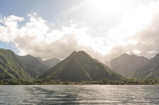 Whale watching DE Tahiti Peninsula - How the whale rules work: what “approach rules” means for you