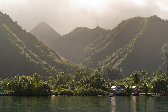 Whale watching DE Tahiti Peninsula - When you can launch with humpbacks (and when you just observe)
