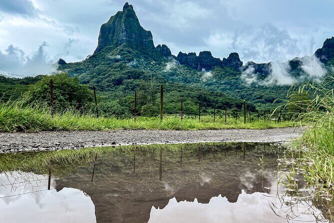 Whale watching in Moorea - Moorea Lagoon snorkeling: dolphins, turtles, rays, and the blacktip possibility