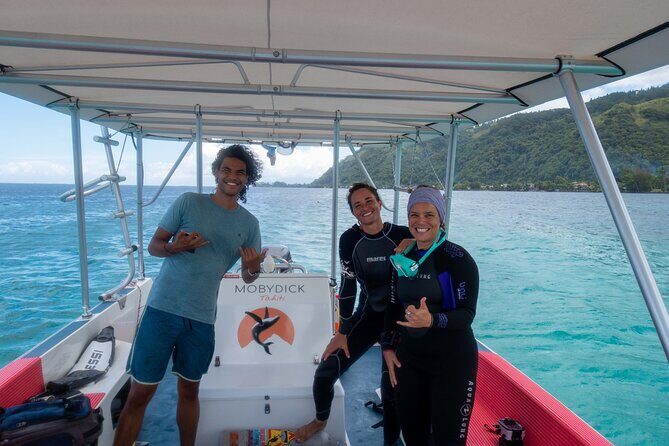 Whale watching on the preserved and quiet coast of Paea (Pk26) - When You Can Actually Swim: DIREN Rules and a Real Fitness Check
