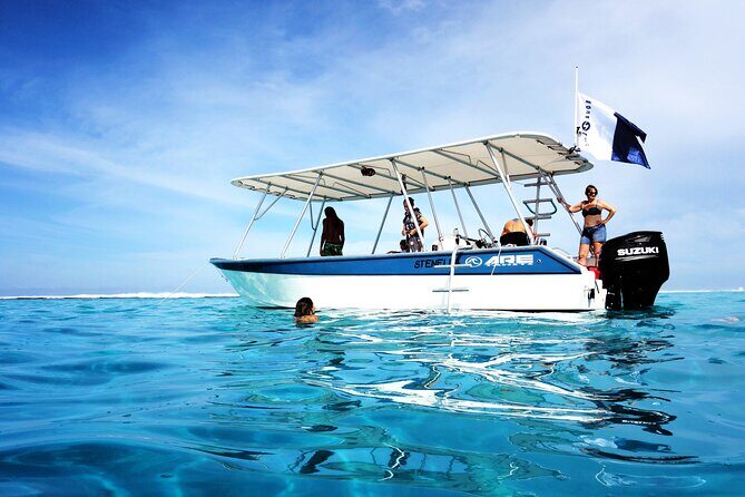 Whale watching on the preserved and quiet coast of Paea (Pk26) - Price and Value: What You’re Paying For at $205.27
