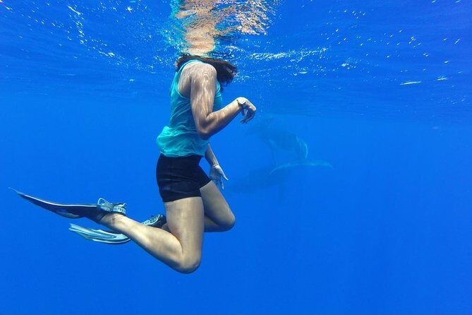 Whale Watching Tours in Bora Bora - Meet Simon, the Captain, and the Small-Group Rhythm